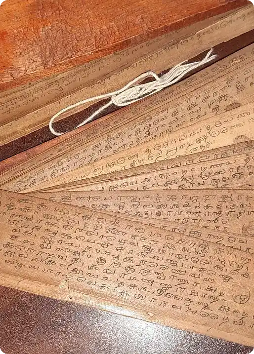 Nadi Astrology